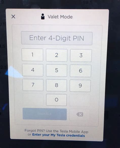 tesla valet mode pin.